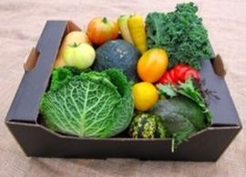 Webstore a small veg box alternative